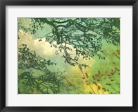 Branches and Clouds Fine Art Print