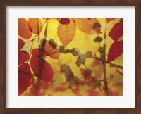 Golden Foliage Fine Art Print