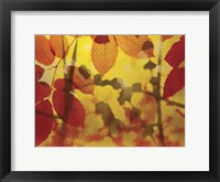 Golden Foliage Fine Art Print