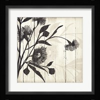 Shadow on Wood II Framed Print