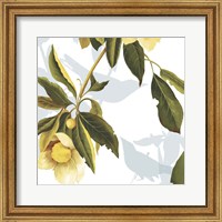 Lemon Floral Fine Art Print