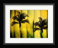 Two Palms Fine Art Print