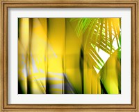 Yellow Shades Fine Art Print