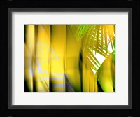 Yellow Shades Fine Art Print