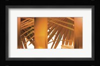 Tangerine Fine Art Print