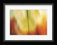 Tie Dye I Framed Print