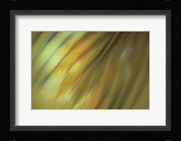 Tie Dye III Framed Print