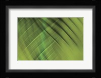 Tie Dye IV Framed Print