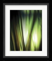 Organic I Framed Print