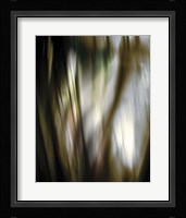 Organic III Framed Print