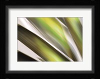 Organic VI Framed Print