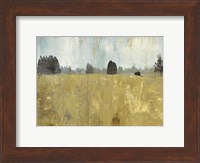 Golden Fields Fine Art Print