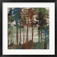 Spruce Woods I Fine Art Print
