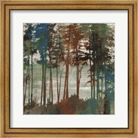 Spruce Woods I Fine Art Print