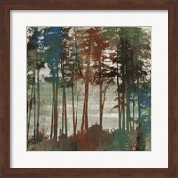 Spruce Woods I Fine Art Print