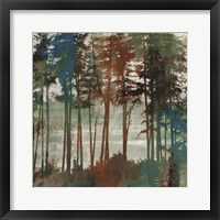 Spruce Woods I Framed Print