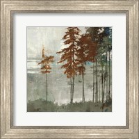 Spruce Woods II Fine Art Print