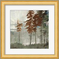 Spruce Woods II Fine Art Print