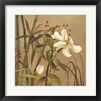 Bamboo Beuaty I Framed Print