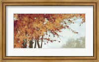 Fall Canopy I Fine Art Print