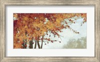 Fall Canopy I Fine Art Print