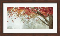 Fall Canopy II Fine Art Print