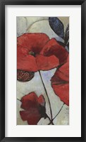 Red Poppy II Framed Print