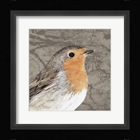 Feathered V Framed Print