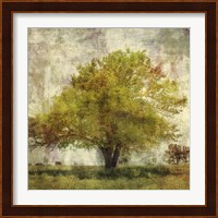Vintage Tree Fine Art Print