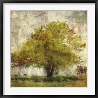 Vintage Tree Fine Art Print