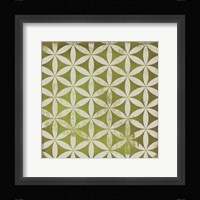 Terra IV Framed Print