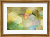 Honeycomb I Fine Art Print