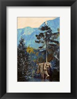 Pine on Blue Fine Art Print