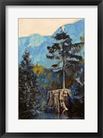 Pine on Blue Fine Art Print