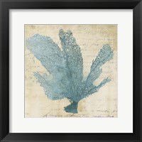 Blue Coral I Fine Art Print