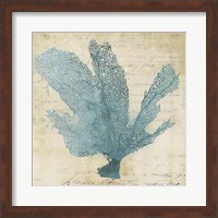 Blue Coral I Fine Art Print