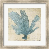 Blue Coral I Fine Art Print