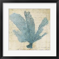 Blue Coral I Framed Print