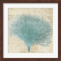 Blue Coral III Fine Art Print