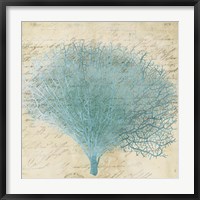 Blue Coral III Fine Art Print