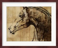 Stallion I - Print on Demand Fine Art Print