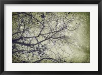 Atmospheric II Framed Print