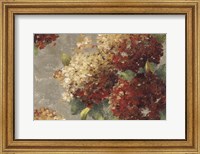 Vintage Hydrangea Fine Art Print