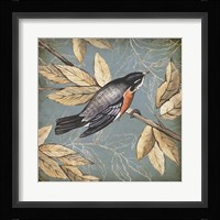 Songbird Fable I Framed Print