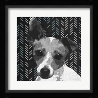 Jack Framed Print