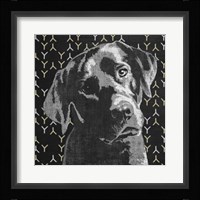Lab Framed Print