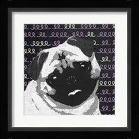 Pug Framed Print