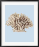 Coral I Fine Art Print