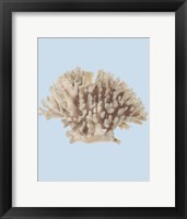 Coral I Fine Art Print