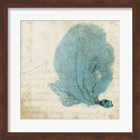 Blue Coral II Fine Art Print